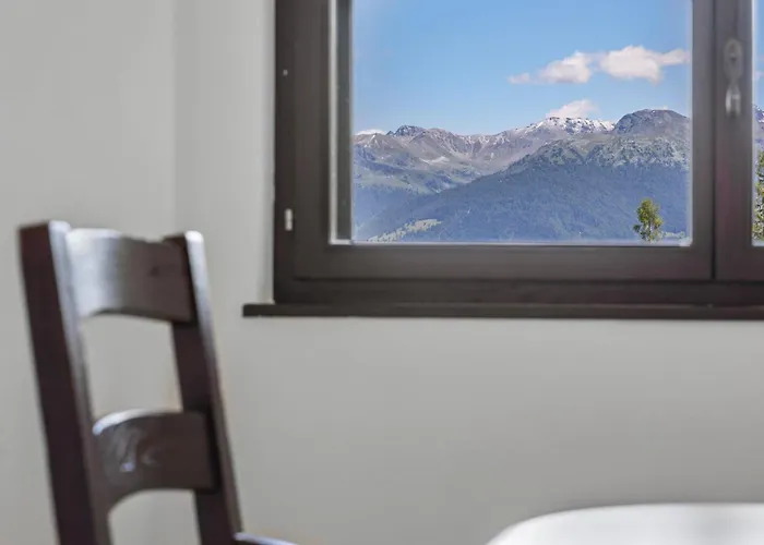 Noir Pres De La Telecabine A Anzère