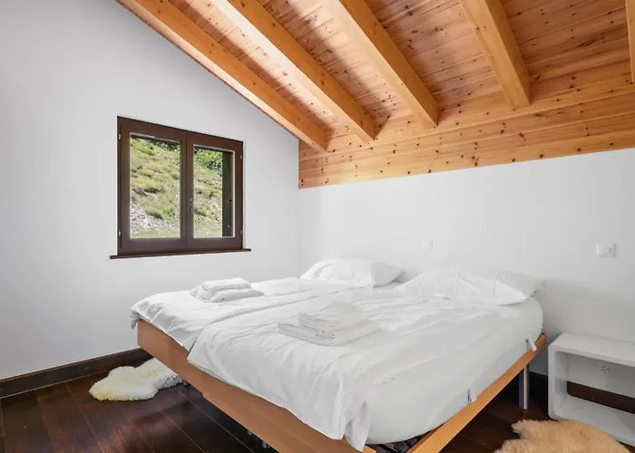 Noir Pres De La Telecabine A Chalet Anzère