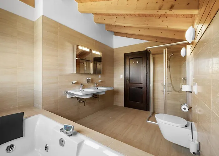 Noir Pres De La Telecabine A Anzère