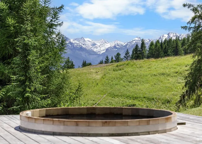 Noir Pres De La Telecabine A Chalet