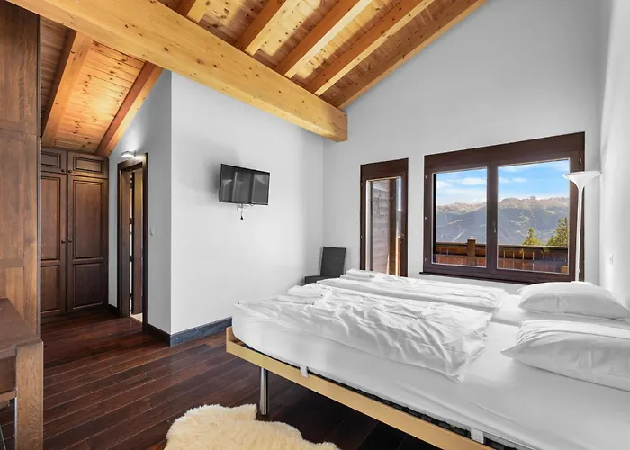 Noir Pres De La Telecabine A Chalet Anzère