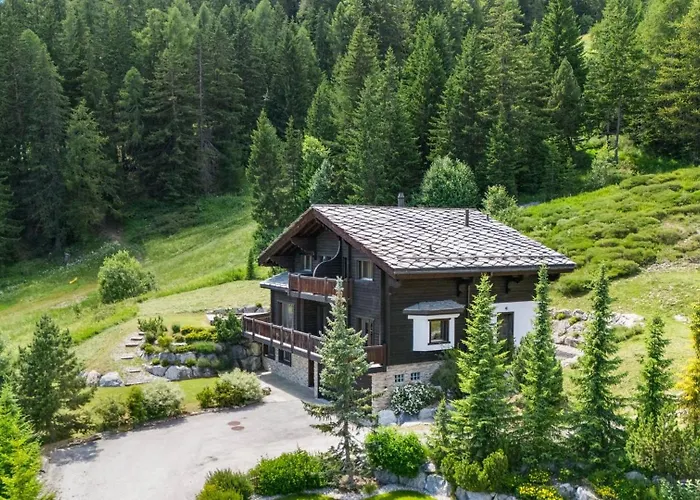 Noir Pres De La Telecabine A * Anzère