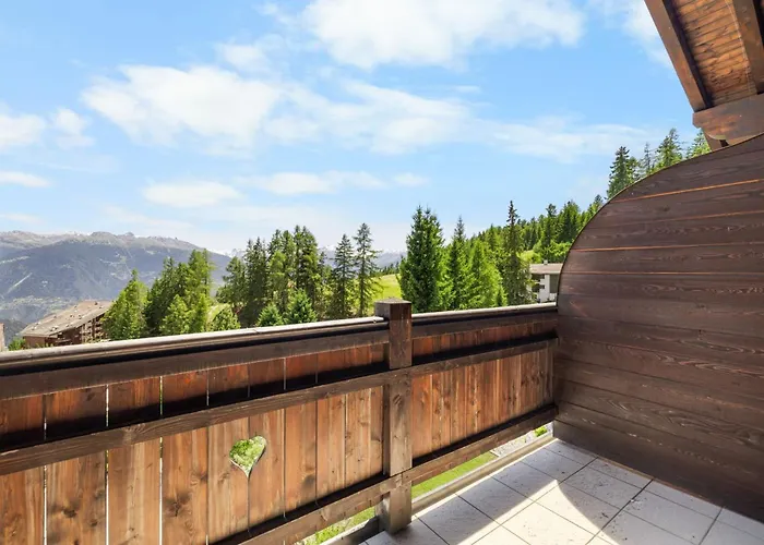 Noir Pres De La Telecabine A Chalet