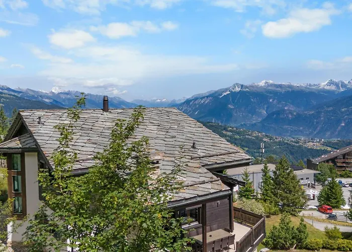 Noir Pres De La Telecabine A Anzère