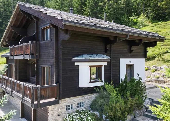 Noir Pres De La Telecabine A Chalet