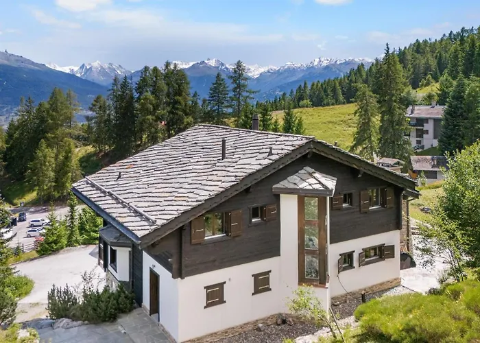 Noir Pres De La Telecabine A Anzère